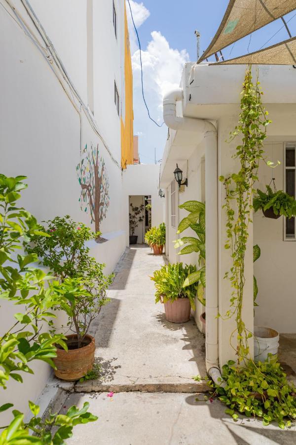 Hotel Las Palmas Cancun Centro Ngoại thất bức ảnh